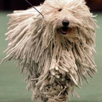 Profile Picture of Aaron Harmon (@Aaronharmon) on Twitter