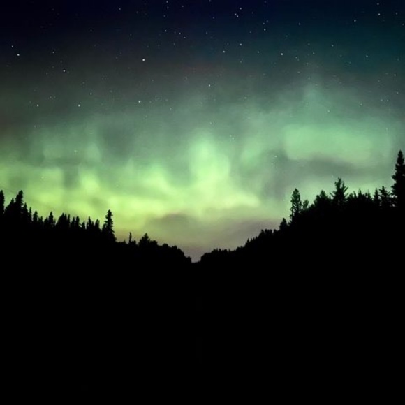 Profile Picture of Patrick Koch (@patrickkoch8) on Poshmark