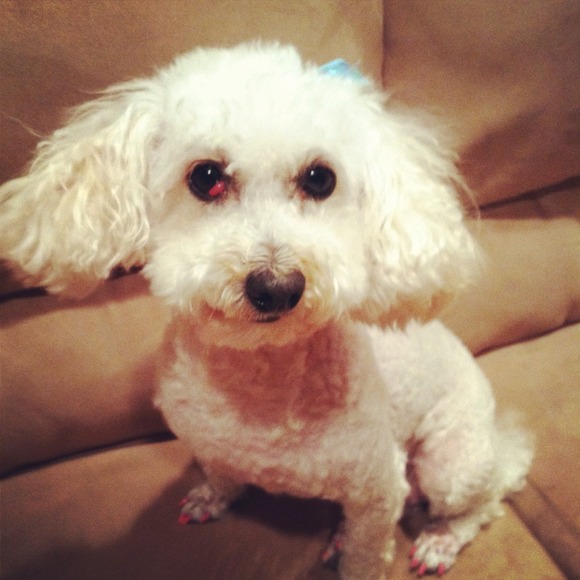 Profile Picture of Shannon Mcfadden (@scrscar1215) on Poshmark