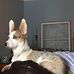 Profile Picture of Kevin Tibbs (@kevin.tibbs.77) on Facebook