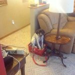 Profile Picture of Jo Bartholomew (@jody2724) on Instagram