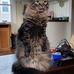 Profile Picture of Graham Simms (@graham.simms.775) on Facebook