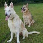 Profile Picture of Matthew Yates (@matthew_yates2311) on Instagram