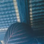 Profile Picture of Bello Dorcas (@Bello-Dorcas) on Facebook