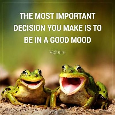 Profile Picture of Sean Sneed (@seansneed420) on Twitter