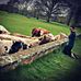 Profile Picture of Dominic Corr (@dominic.corr.91) on Facebook