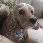 Profile Picture of alex griner (@griner.alex) on Instagram