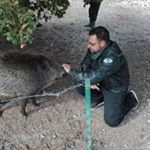 Profile Picture of Cédric Garcia (@cedric.garcia.9235) on Instagram