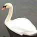Profile Picture of Alyssa Resnick (@alyssacr) on Pinterest