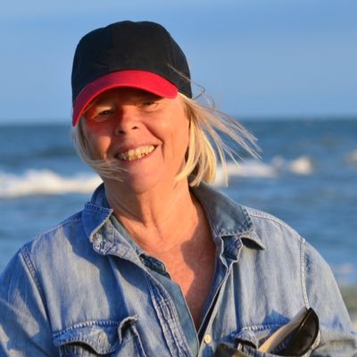 Profile Picture of Elaine F. Chapman (@jsc_phd) on Twitter