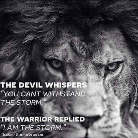 Profile Picture of Ellen Alvarez (@ellieb47) on Poshmark