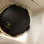 Profile Picture of Ayesha Akter (@ayeshaakterstar) on Instagram