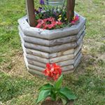 Profile Picture of Haley Peck (@peck.haley) on Instagram