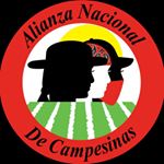 Profile Picture of Alianza Nacional de Campesinas (@campesinasunite) on Instagram