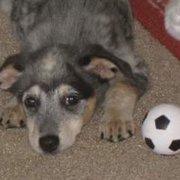 Cameron Flais - Poshmark Profile Picture of Cameron Flais (@shabadoo) on Poshmark