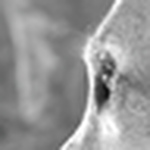 Profile Picture of Martin Leschinski (@kama-style-photography) on Flickr