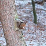 Profile Picture of David Richens (@richens.david) on Instagram