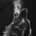 Profile Picture of Jakobie Marshall (@kingkobie100) on Pinterest
