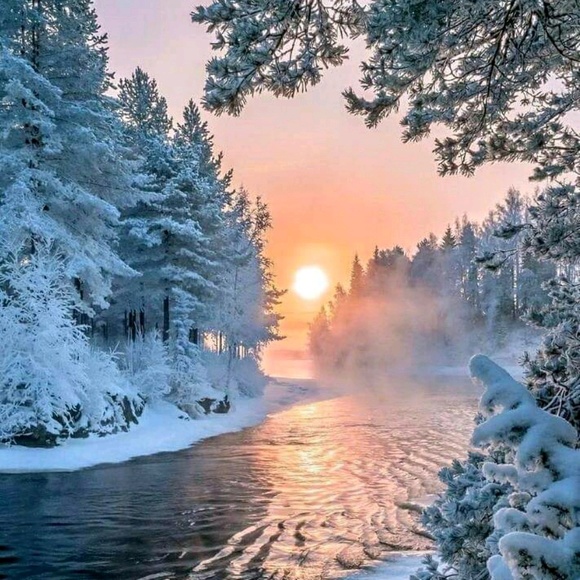 Profile Picture of Jo Heileman (@jojojo374) on Poshmark