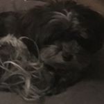 quinn holden - Instagram Profile Picture of quinn holden (@grandma__slayer) on Instagram