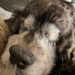 Profile Picture of Pamela S Hackman (@hackmanpamela) on Instagram