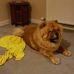 Profile Picture of Stephen Quigley (@stephen.quigley.754365) on Facebook