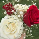 Profile Picture of Cecilia Hicks (@xx.sparkle.hicks.xx) on Instagram