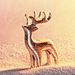 Profile Picture of Deborah Verdugo (@garidozoonline) on Pinterest