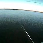 Profile Picture of skepple (@ted.zap) on Instagram