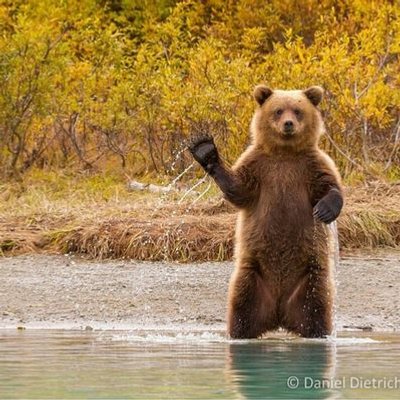 Profile Picture of Terry Tam (@TerryTam) on Twitter