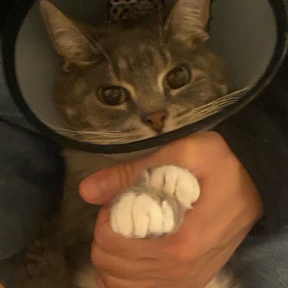 Profile Picture of Bernice Liu (@bernice831) on Poshmark