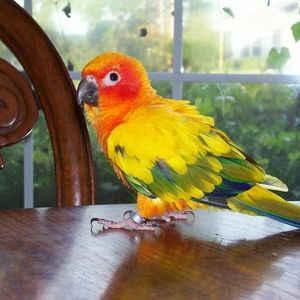 Profile Picture of Tatianna Lanza (@316491485) on Myspace