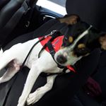 Profile Picture of Bailey Higgs (@higgsbailey) on Instagram