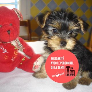 Profile Picture of Ficelle Gilbert (@Ficelle-Gilbert) on Facebook