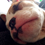 Profile Picture of CHRIS WALTON (@JOHN:BOY) on Flickr