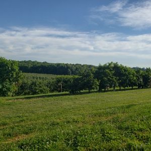 Profile Picture of Tom Ly (@TomLy71942063) on Twitter