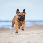 Profile Picture of Darlene Elizabeth Kenner (@Darlene-Elizabeth-Kenner) on Facebook