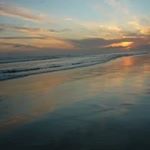 Profile Picture of Sheila Campbell (@sheila.campbell.92102) on Instagram