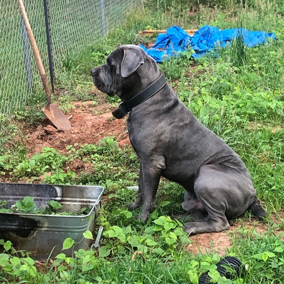 Profile Picture of Jimmy Hunt (@sofakingkool84) on Poshmark