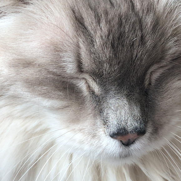 Beth Lipson - Poshmark Profile Picture of Beth Lipson (@lippypdx) on Poshmark