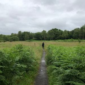 Profile Picture of Joshua Coyle (@josh01coyle) on Twitter
