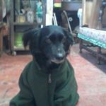 Profile Picture of Claudia Pascale (@claudia.pascale.1) on Instagram