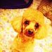 Profile Picture of James Carrasquillo (@james.carrasquillo.393) on Facebook