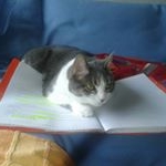 Profile Picture of thomas.deller69 (@thomas.deller69) on Instagram