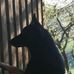 Profile Picture of Robert Lederer (@robert.lederer.315) on Facebook