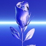 Profile Picture of Aamer Qureshi (@215150046) on Myspace