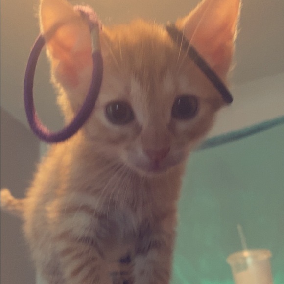 Profile Picture of Ruby Bolanos (@ruby_654) on Poshmark