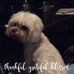 Profile Picture of Glennita Harrison (@Glennita-Harrison) on Facebook