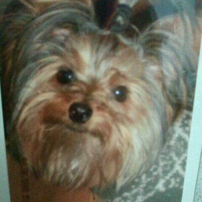 Profile Picture of Fernando G Lorente (@FGLorente) on Twitter