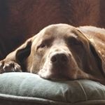 Profile Picture of Steve Rupp (@ssrupp1957) on Instagram